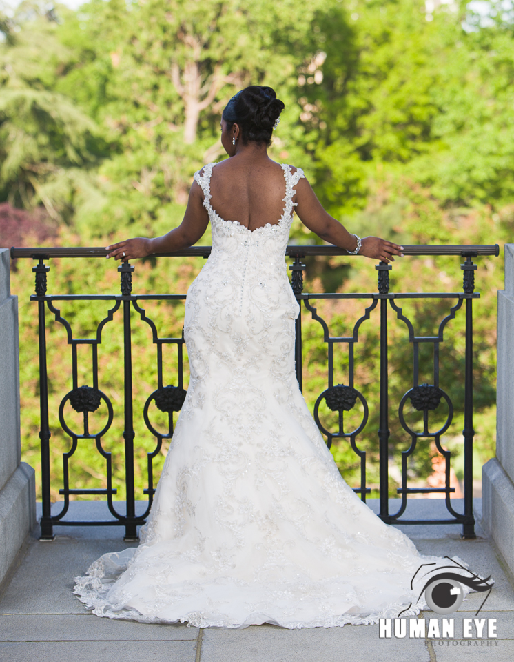 SC State House Bridals