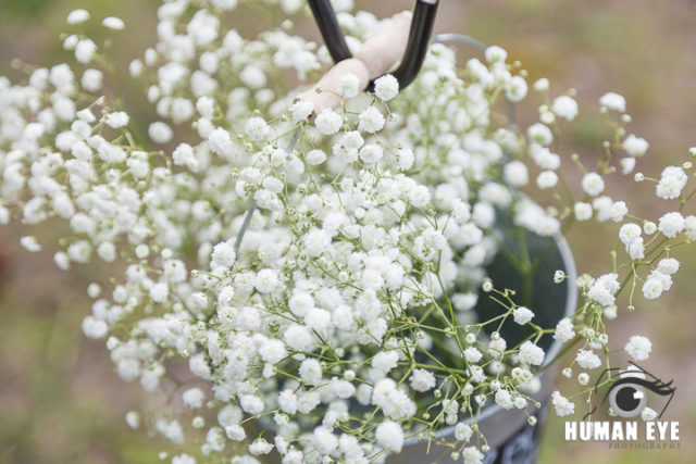 DIY Nigerian Bride Decor